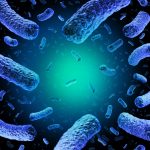 Listeria_medium--3362353795