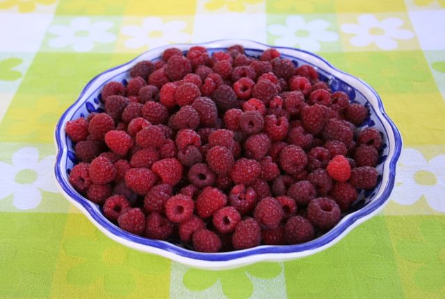 Raspberries IMG_1689_2