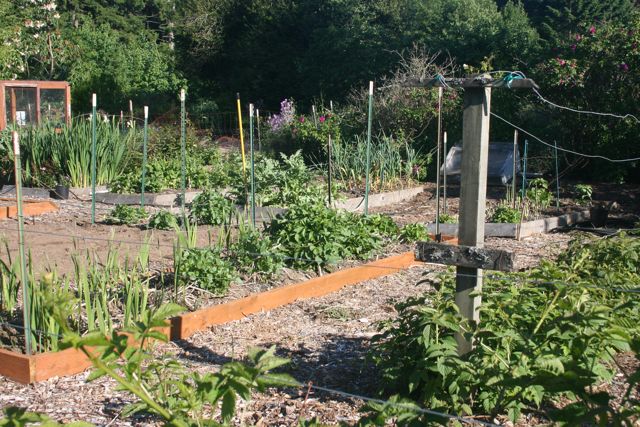 Garden Nice IMG_1135