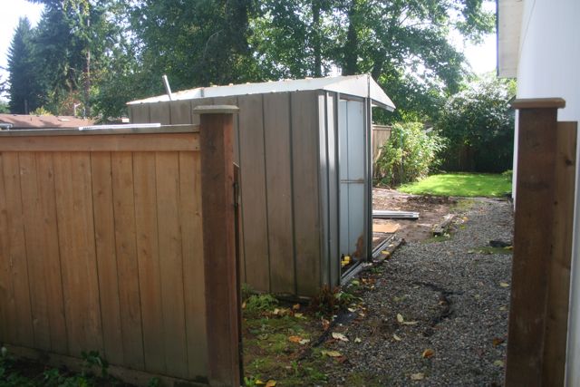 Shed IMG_3153
