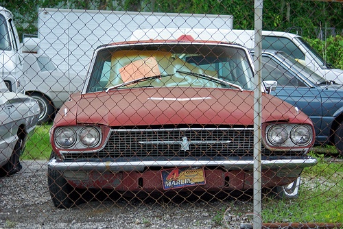 Used Car 2611945238_683033757c (2)