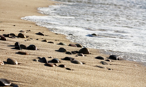 Retirement Rocks 2762842195_e63beb1dec