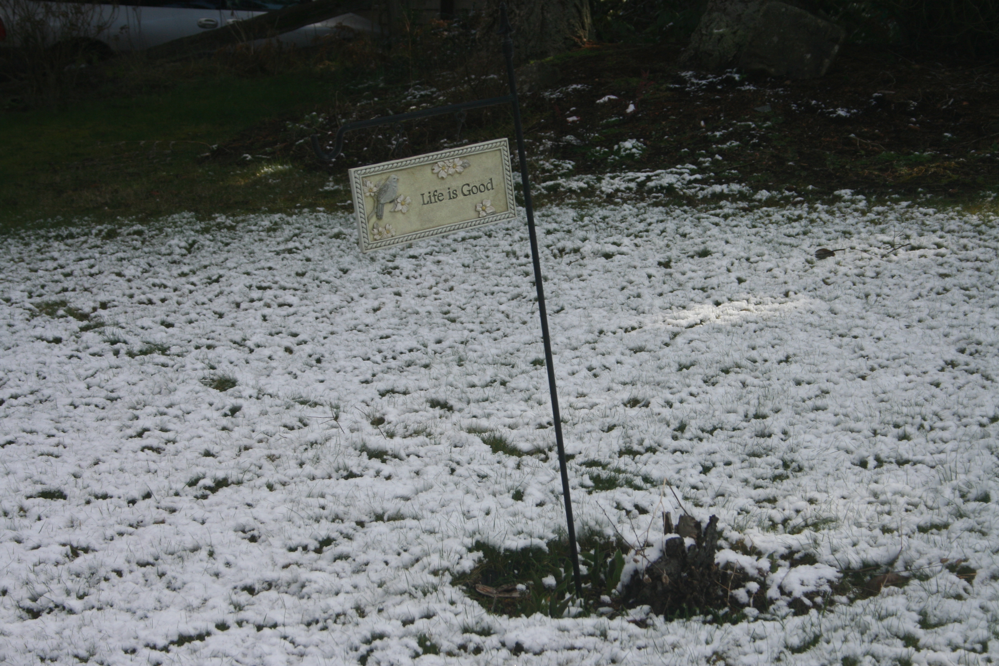 Snow 017