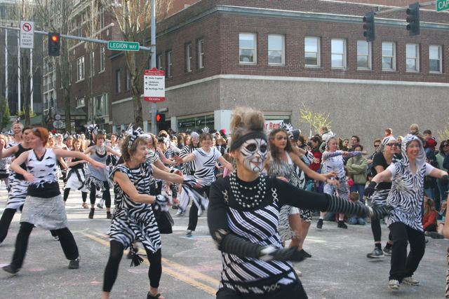 Zebra Dancers 2009 IMG_6560