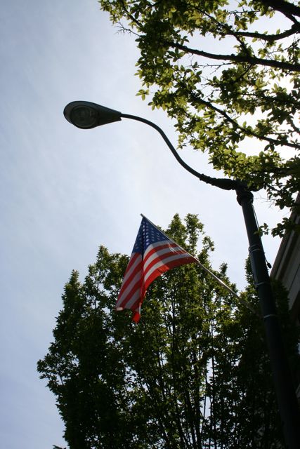 Flag Light Post IMG_8861