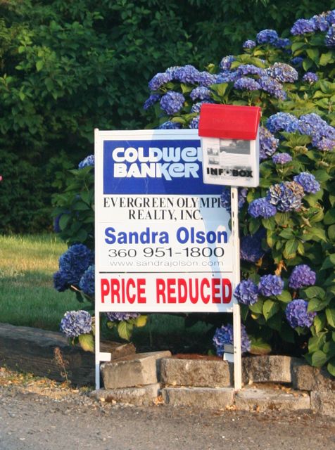 Sig Reduced Blue Flowers IMG_1412_2