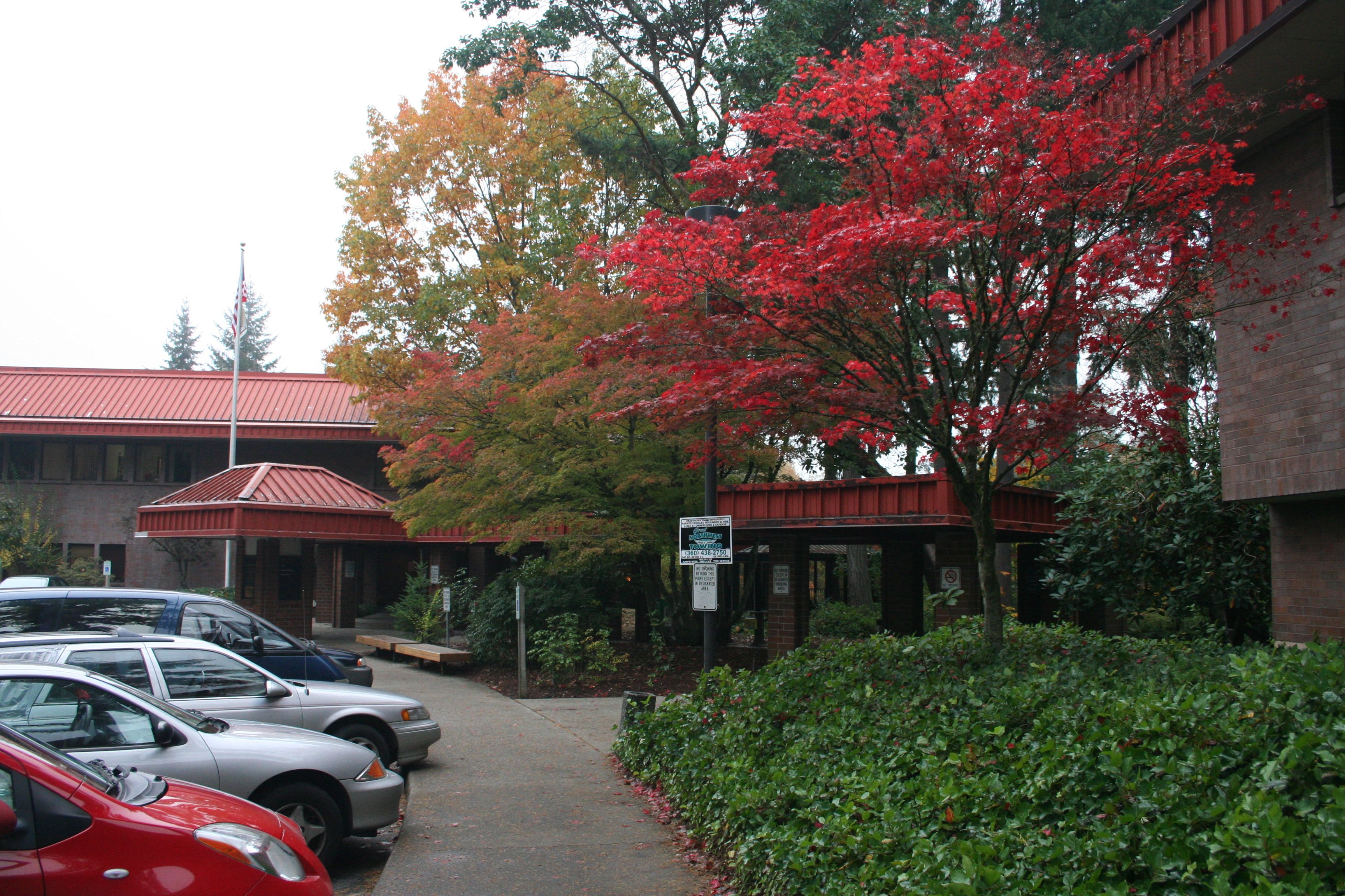Thurston County Courthouse IMG_5114