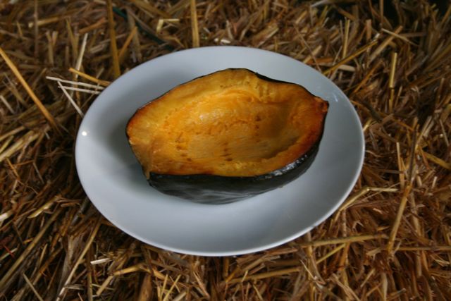 Squash IMG_6020