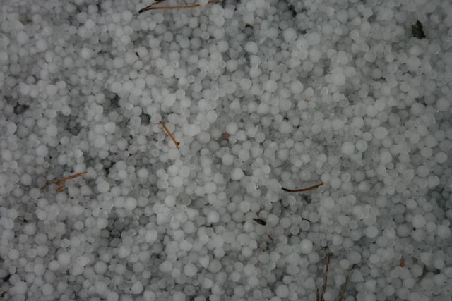 Hail Big IMG_7016
