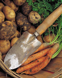 Veg