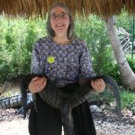 Alligator Park 2a Bayside 088