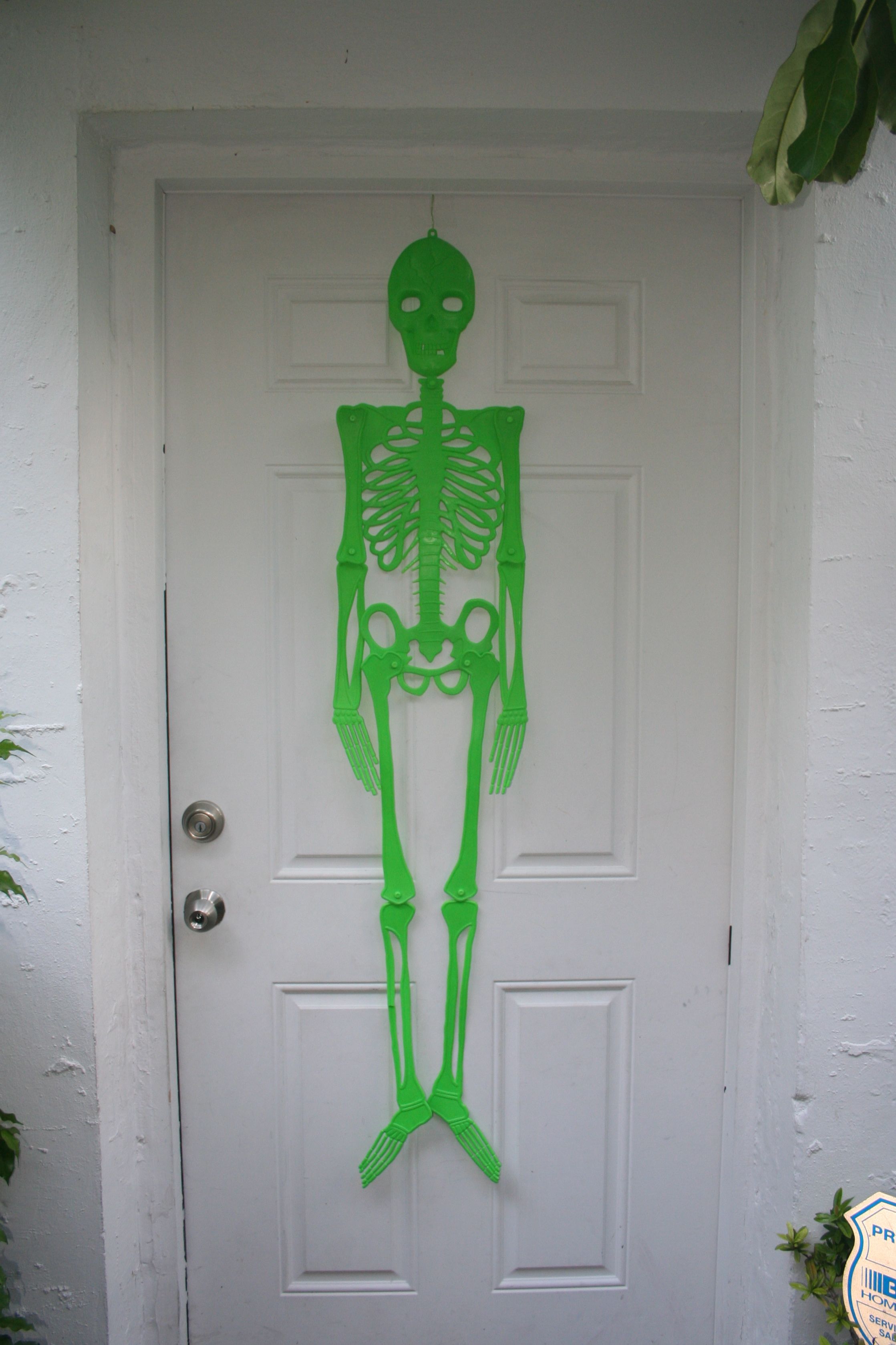 Halloween Skeleton Green IMG_4700_2