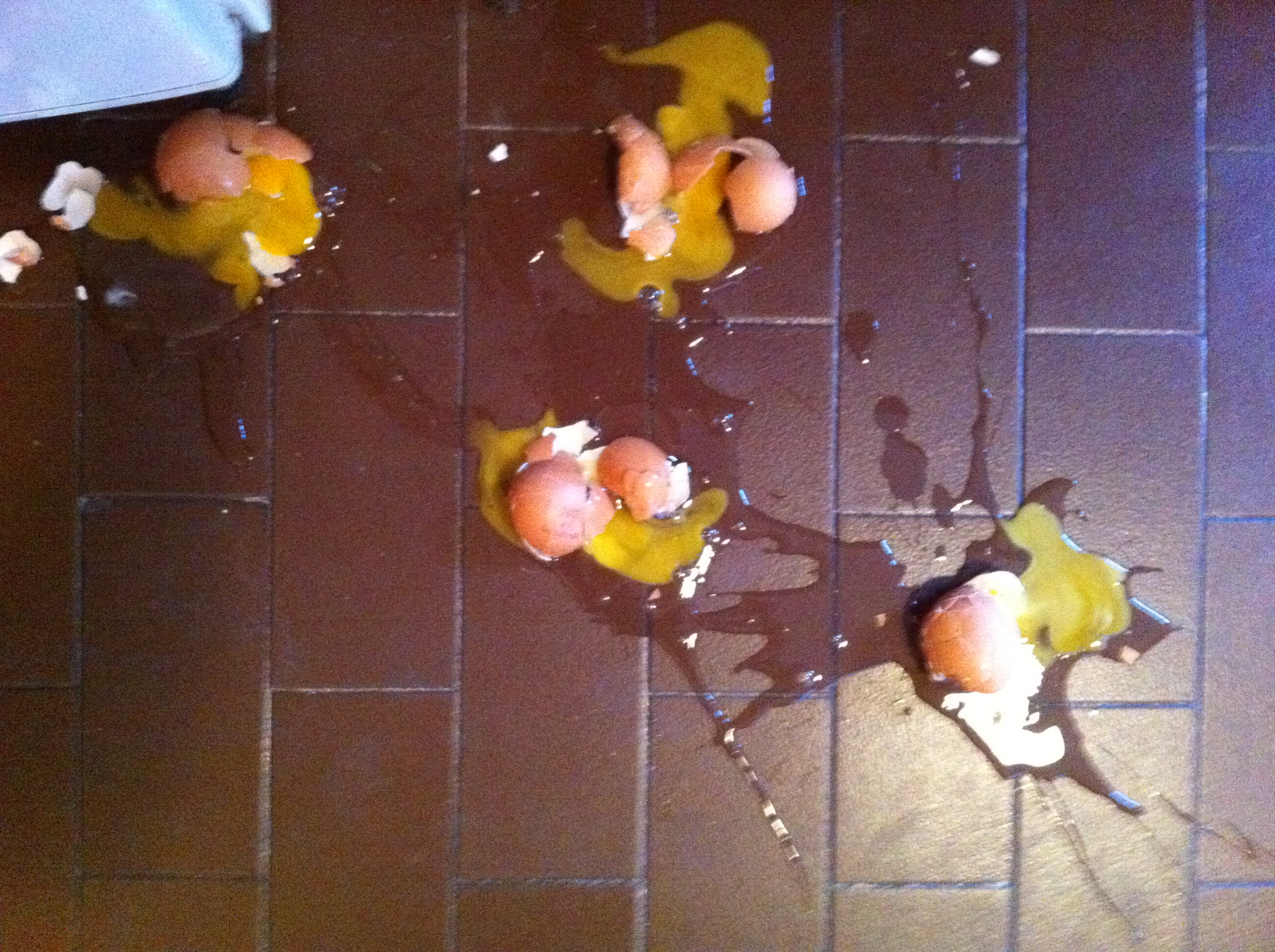 How to store eggs How to store eggs