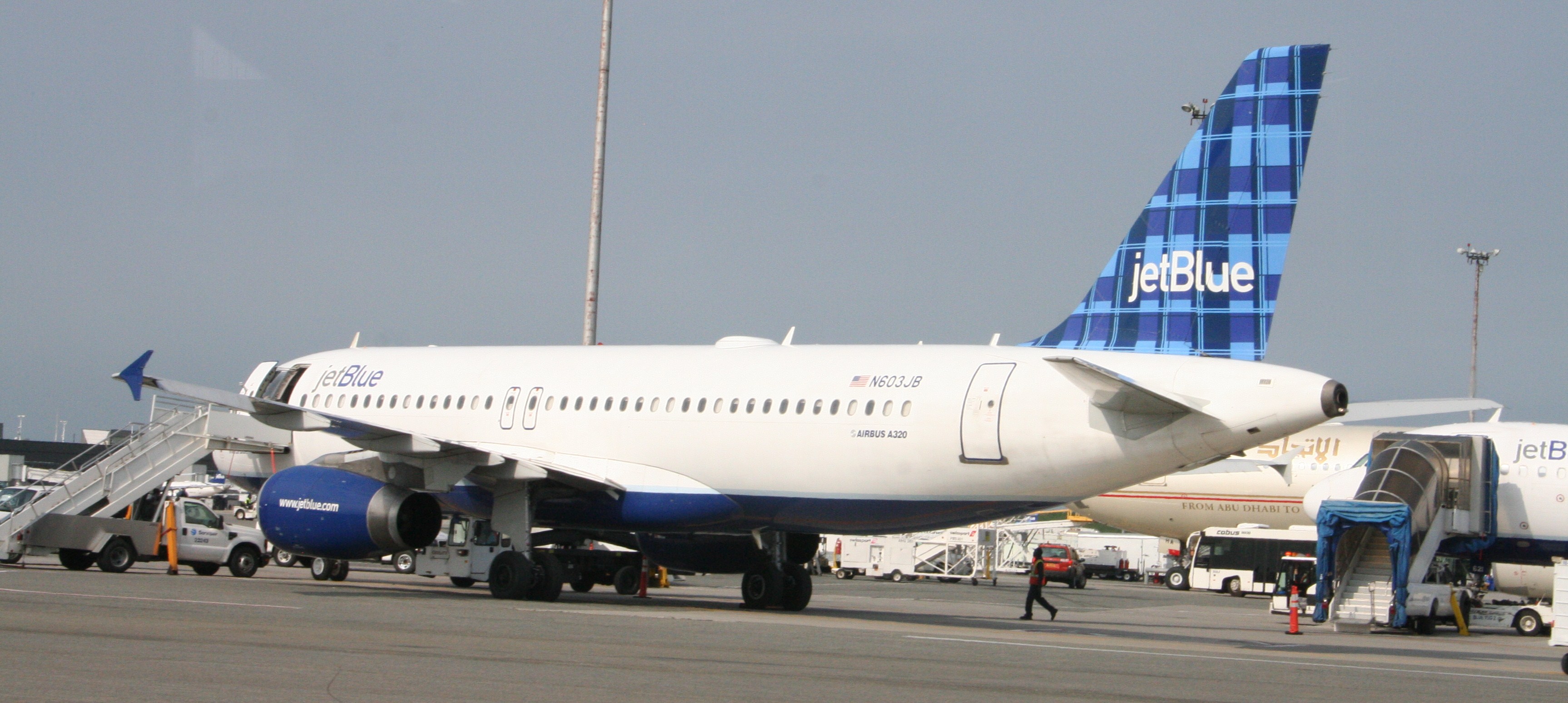 Jet Blue Cropped