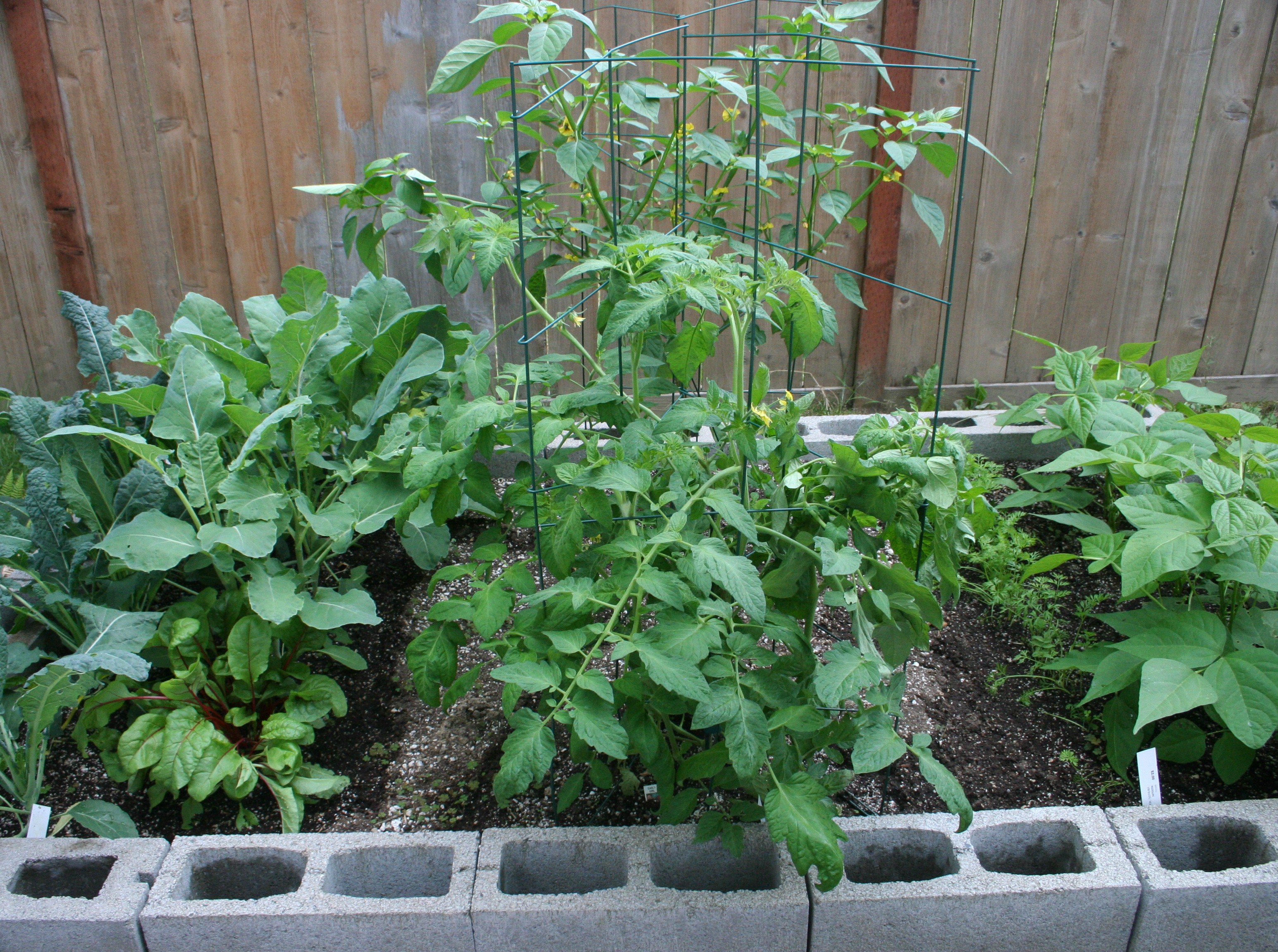 Garden in Aug Side View