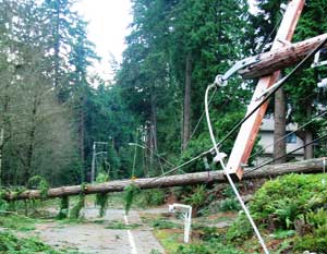 Power-Line-Down