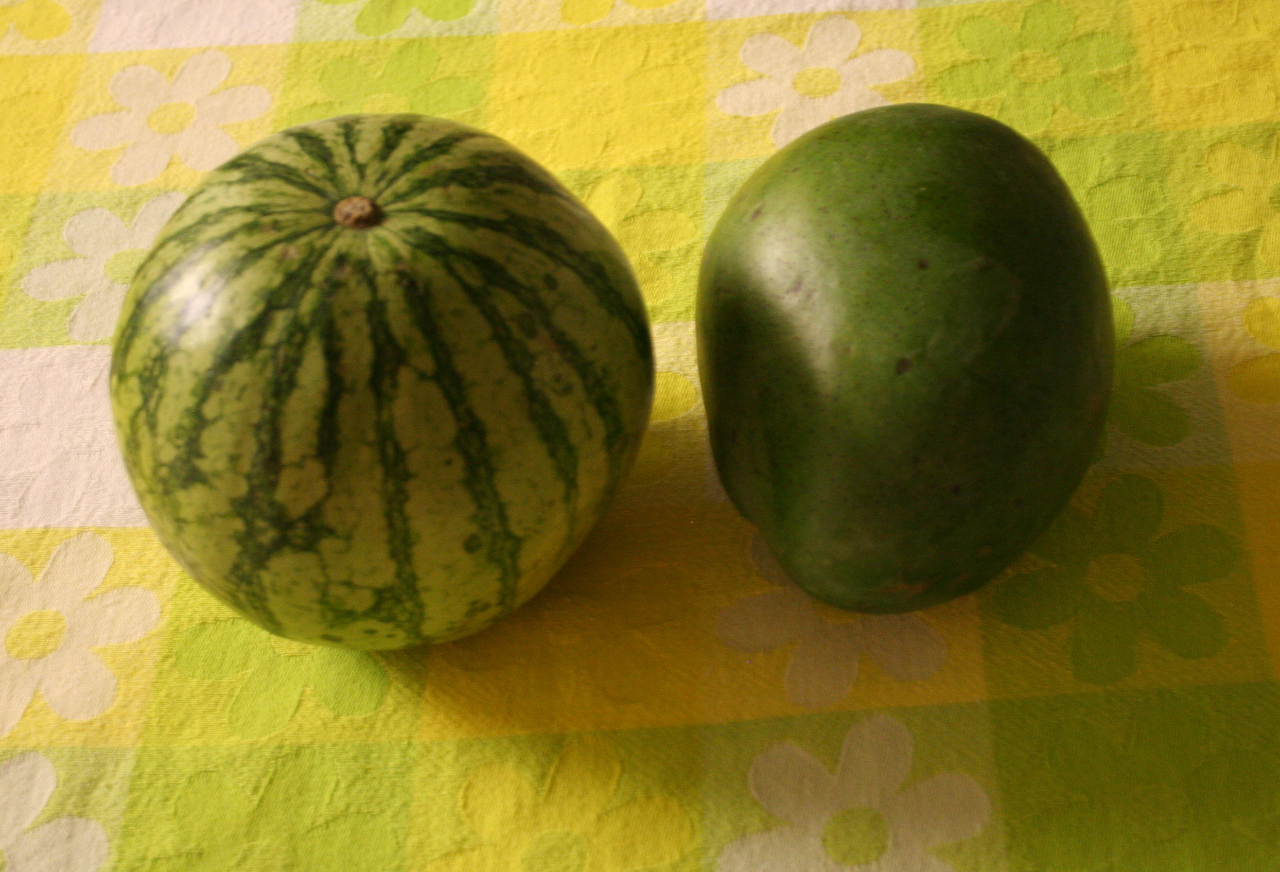 Watermelon Mango Watermelon Mango