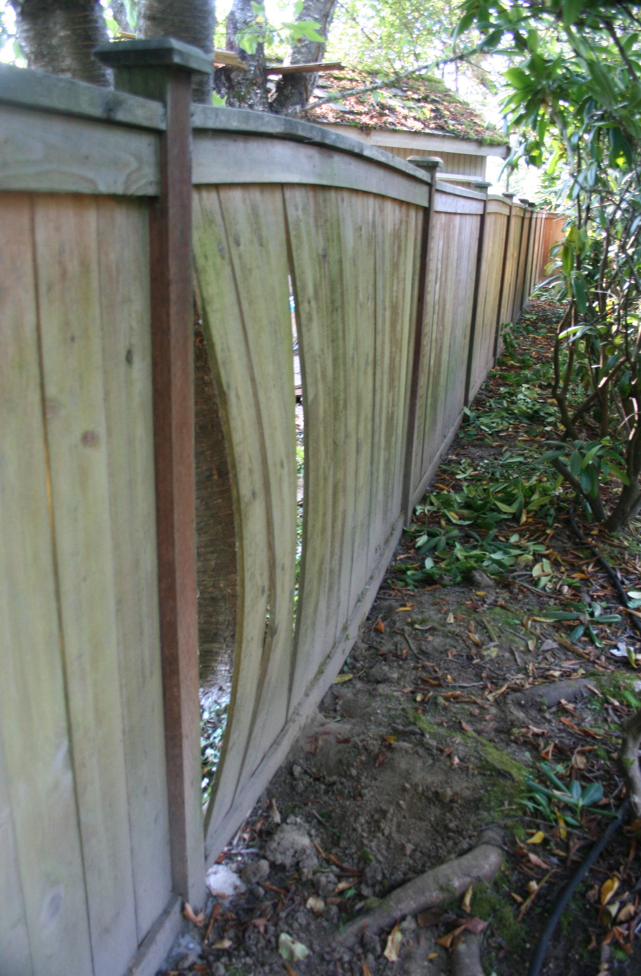 Fence Bowed