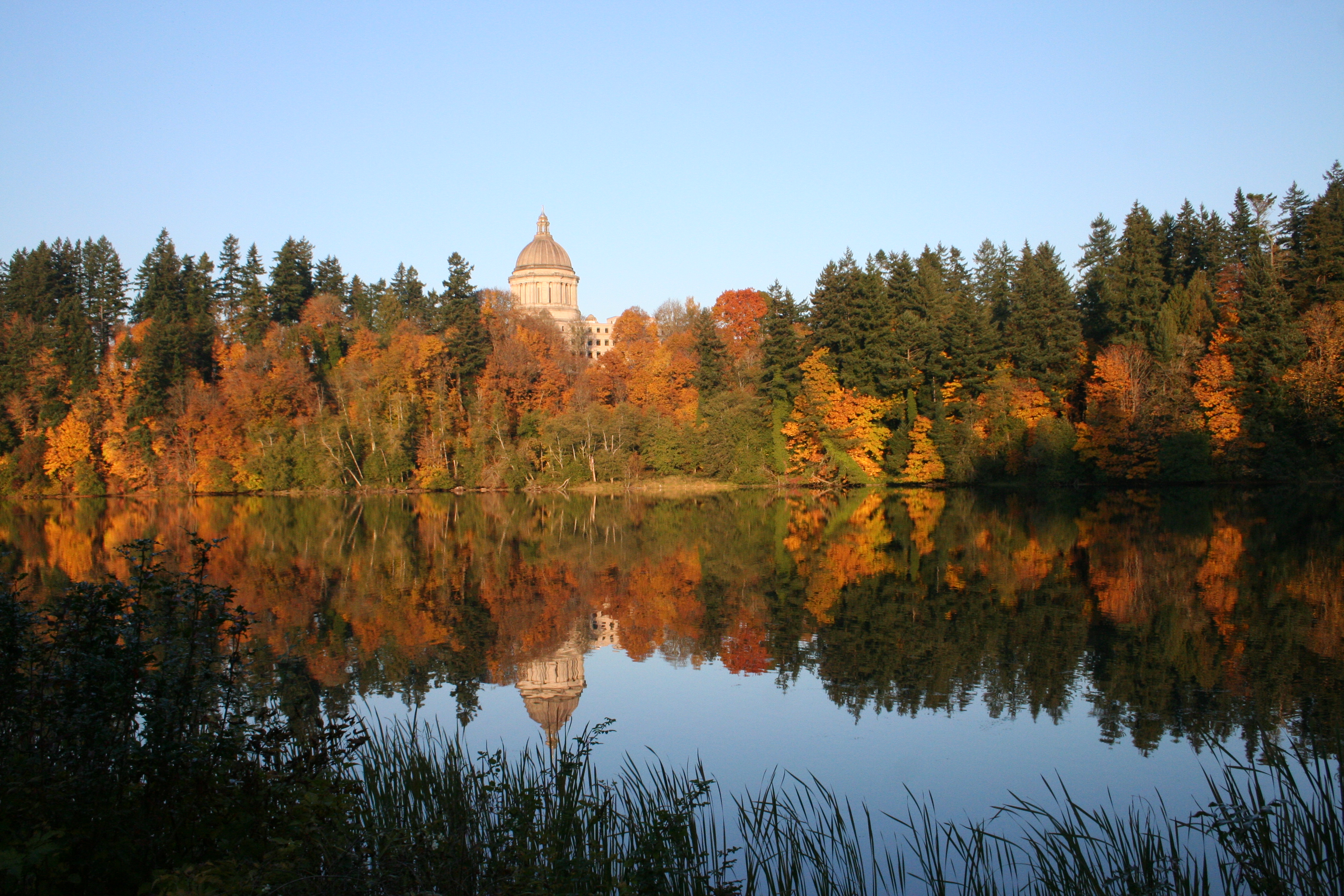 Leg Bldg Fall Reflected2