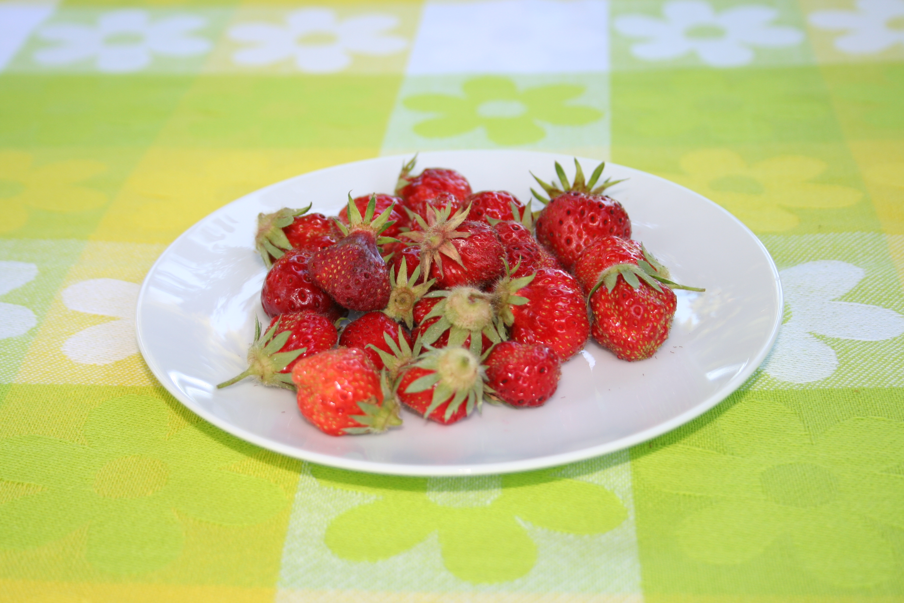 Strawberries in Bowl