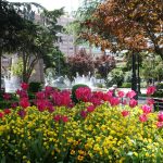 Logrono Park Flowers
