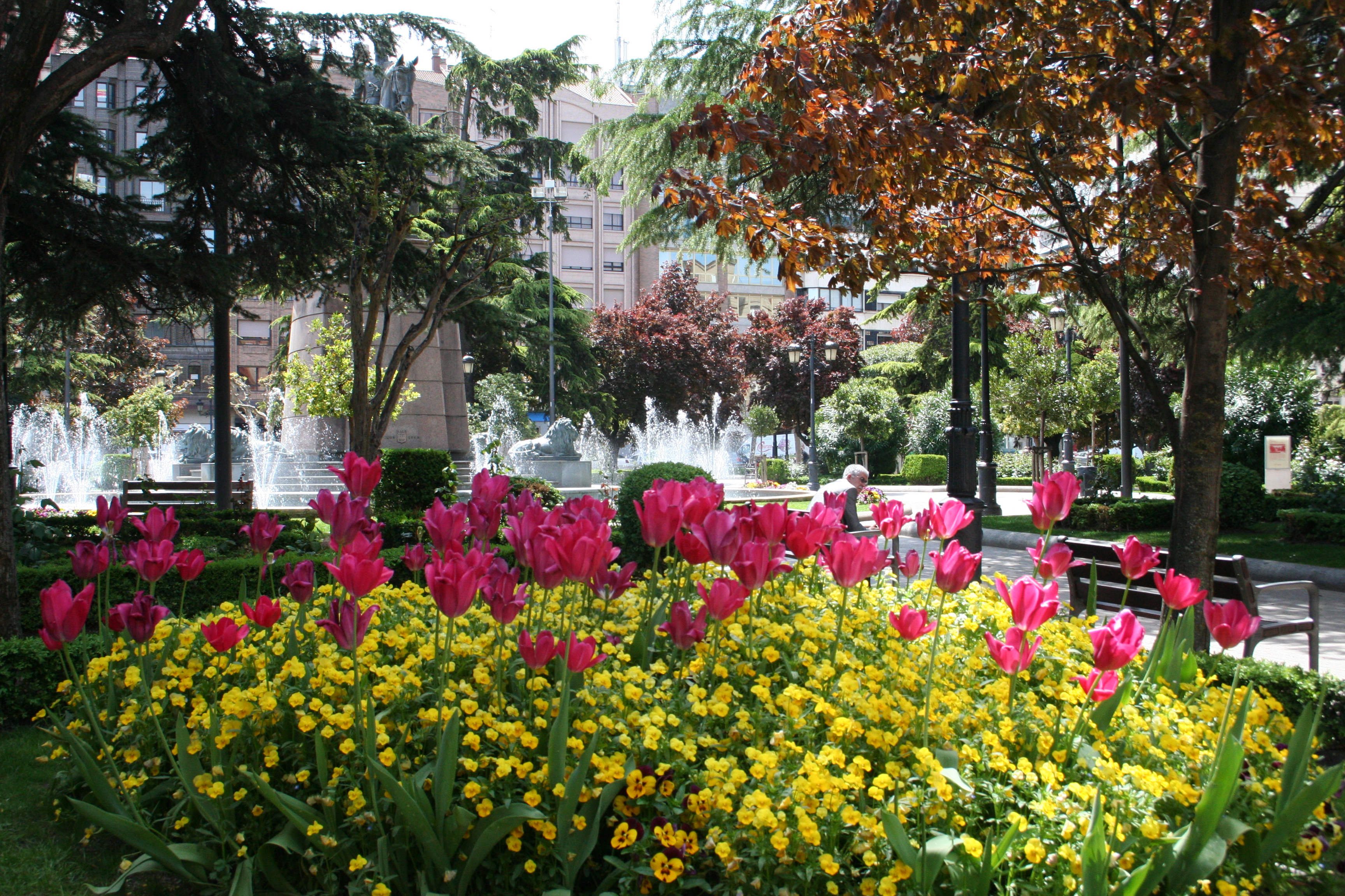 Logrono Park Flowers
