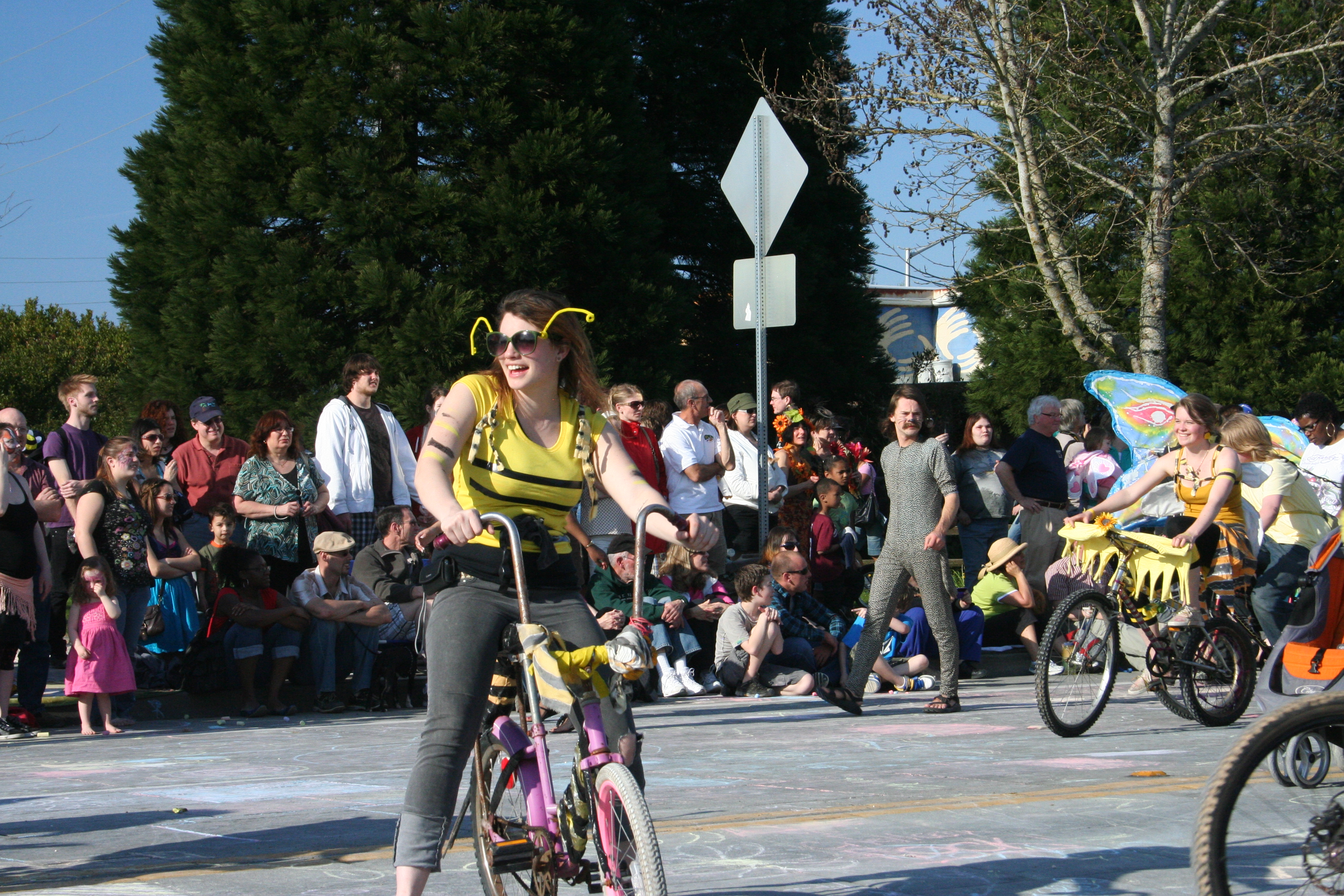 Procession of the Species 2011 039