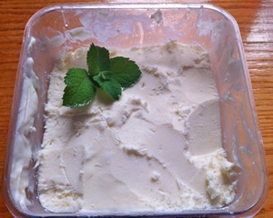 Accidental-Locavore-Ricotta-Ice-Cream