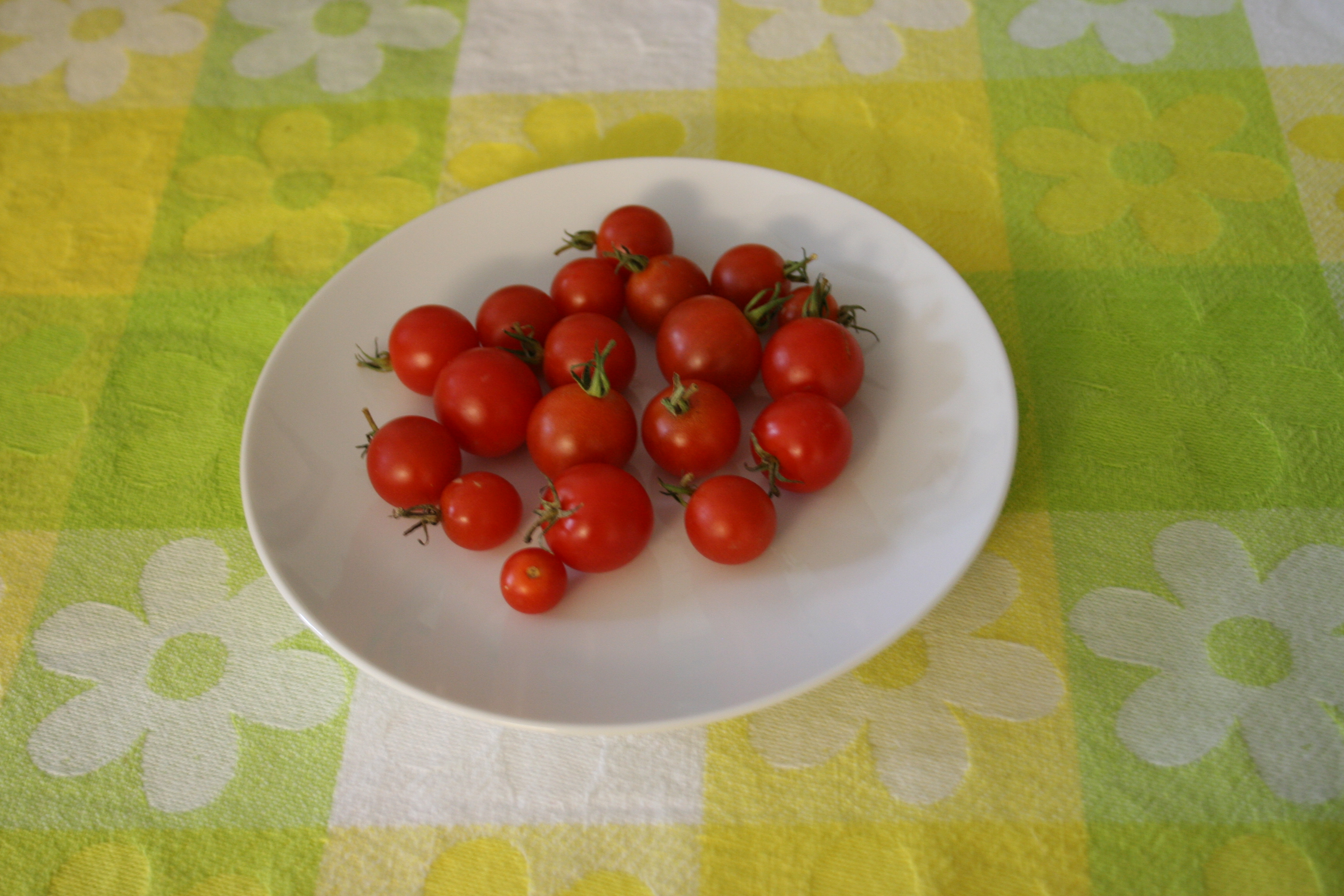 Tomatoes
