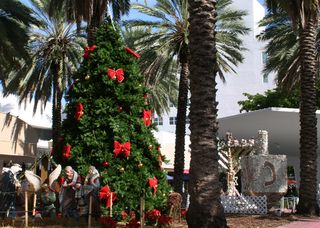 Christmas Tree Miami Beach