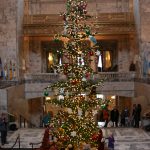 Olympia Capitol Christmas Tree