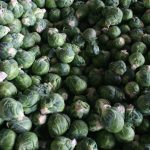 Brussels Sprouts