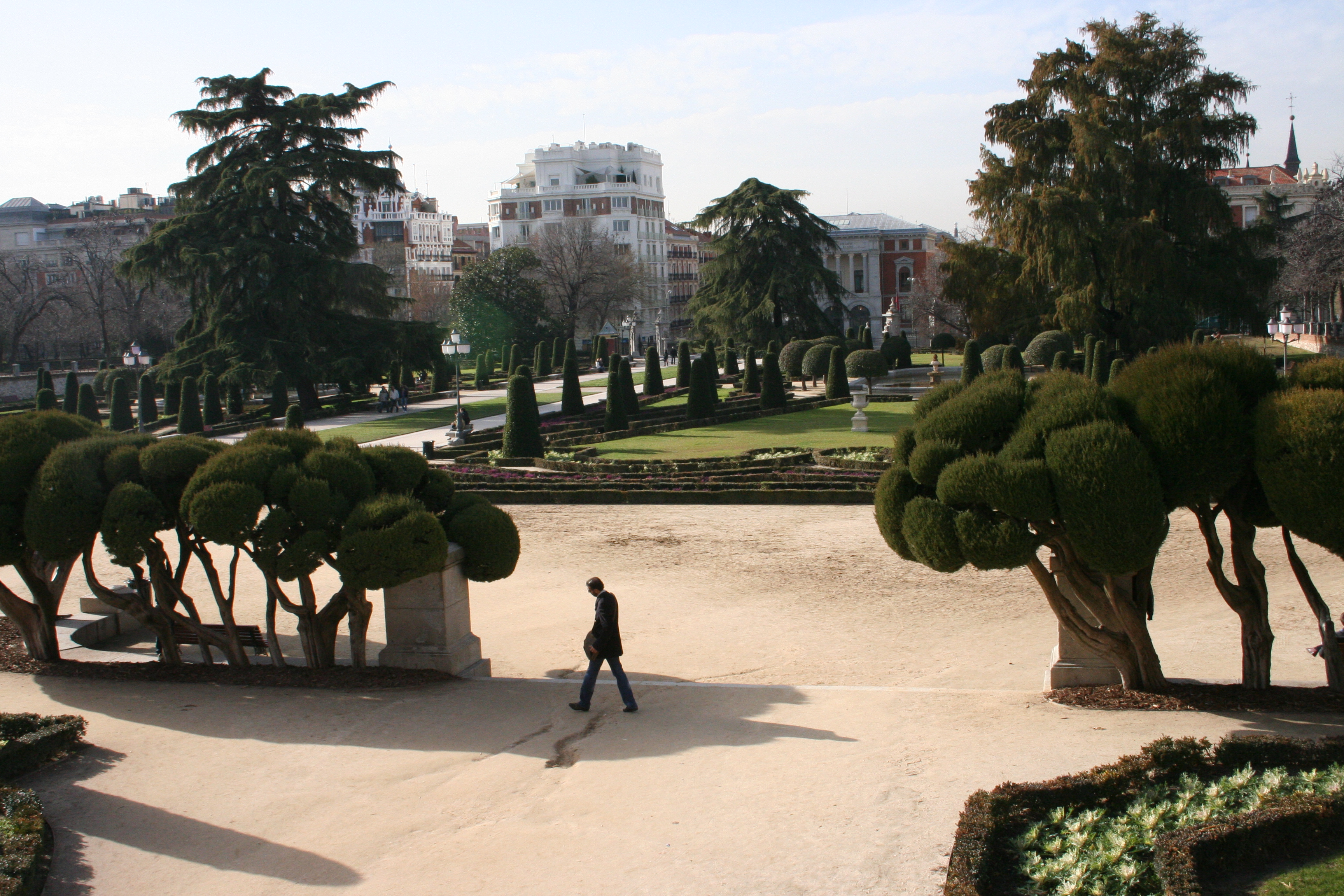 Madrid Park Trees Man