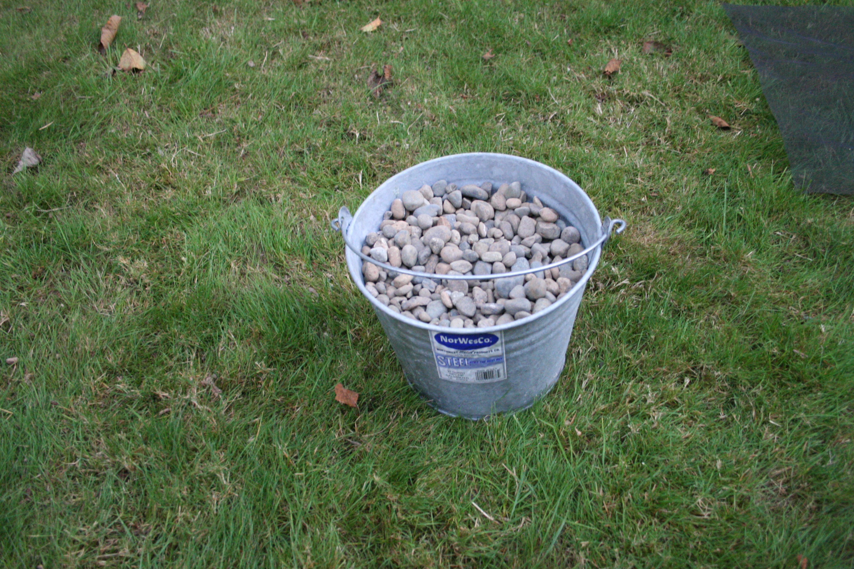 Rocks in Bucket