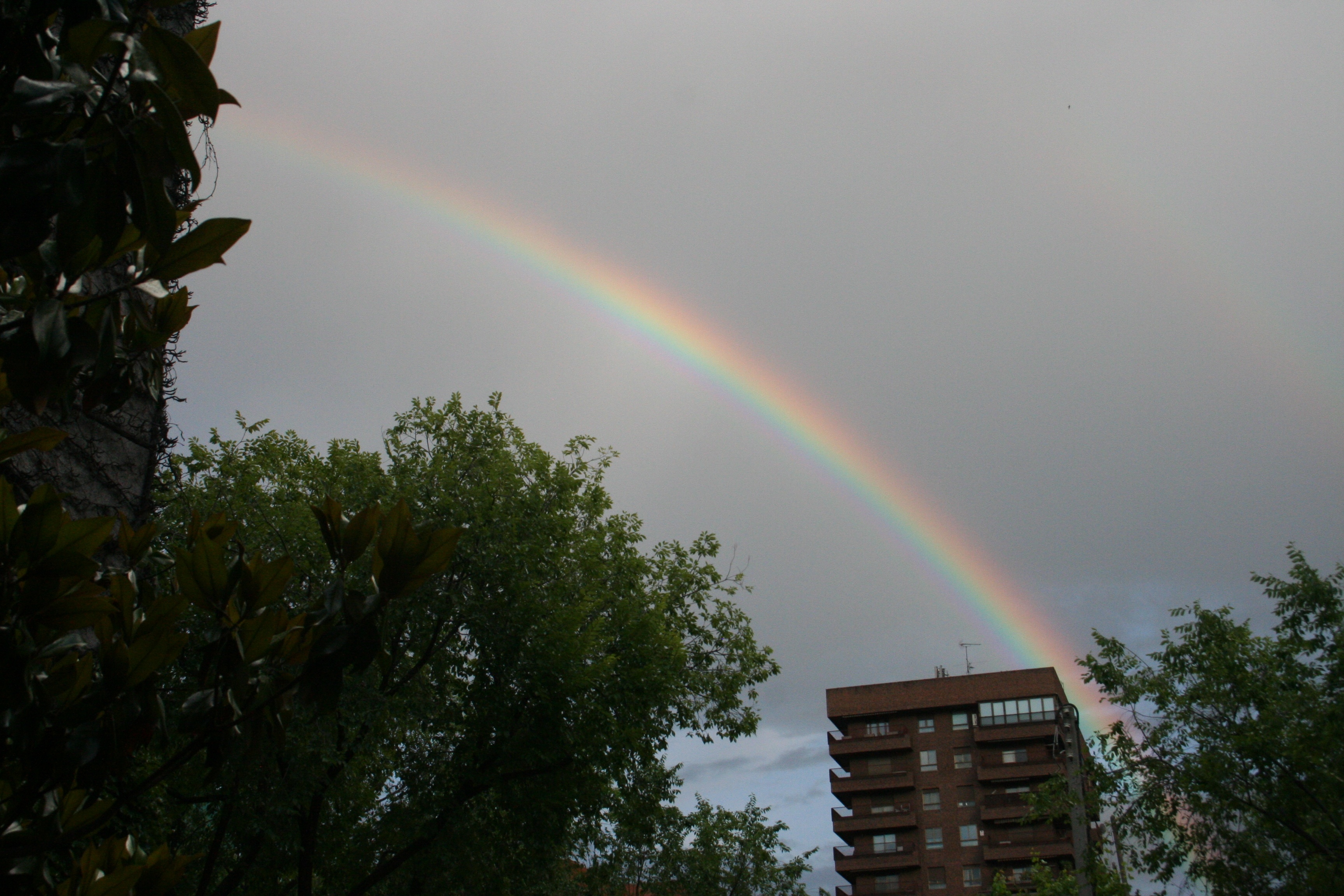 Rainbow Madrid