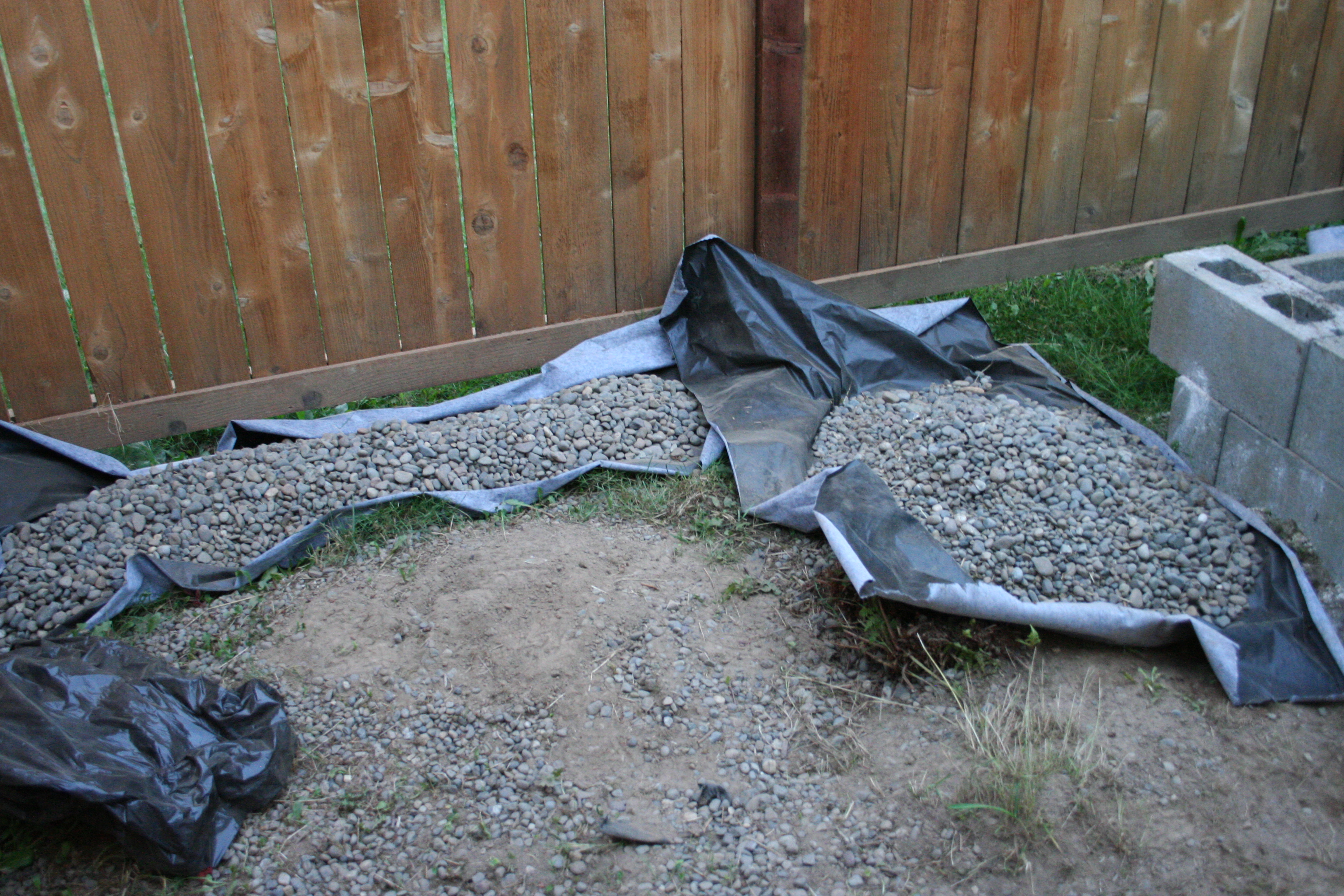 Rocks More Twings on Right