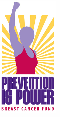 Breast Cancer Fund logo