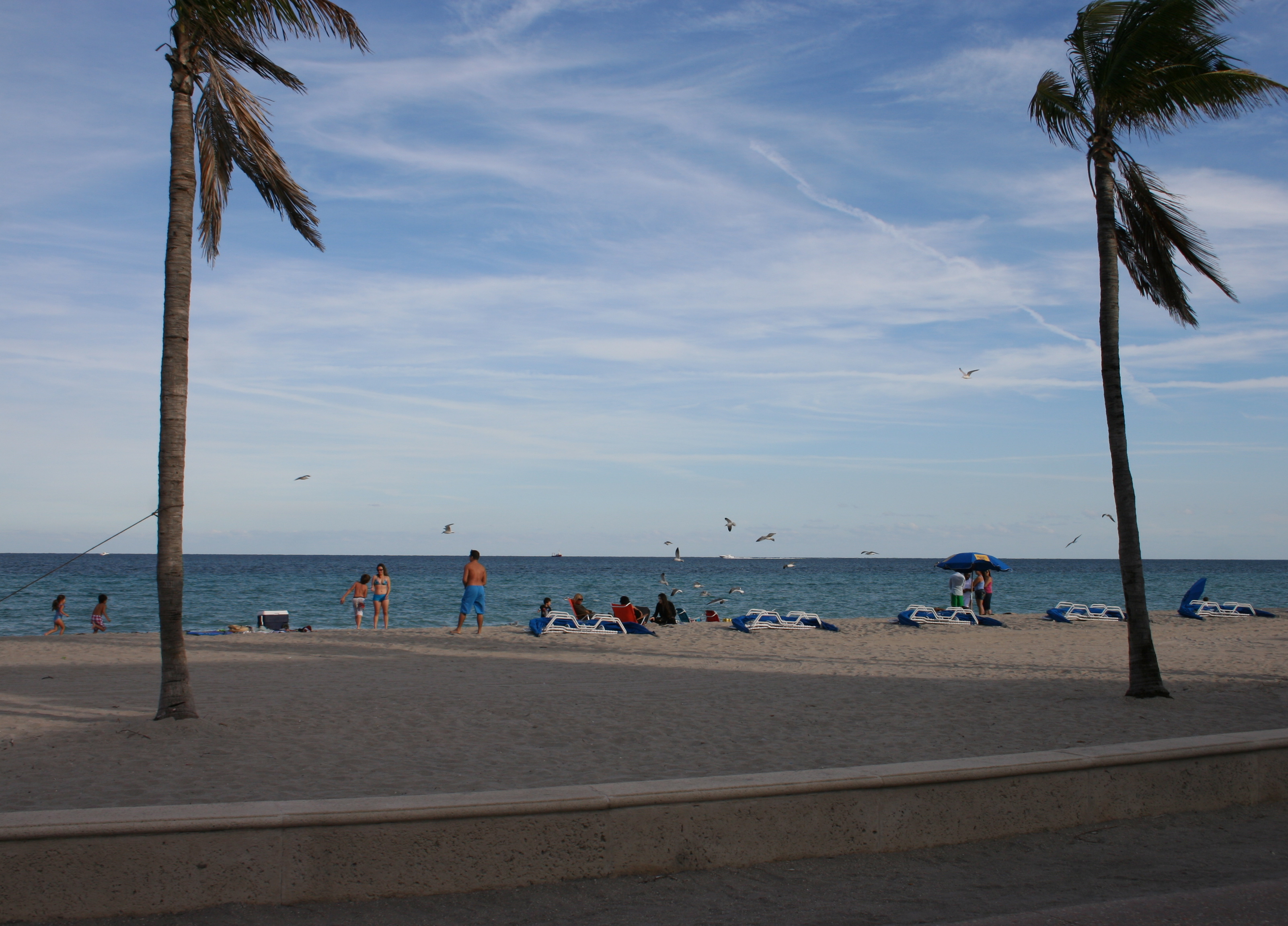 Hollywood Beach