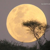 ISuper Mfoon mage_mini