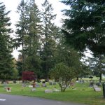 Cemetery Trees
