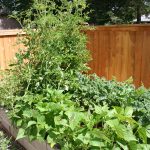 Spirituality, travel, and insurance are the topics for this week’s blogger roundup Garden at Rita's 2013