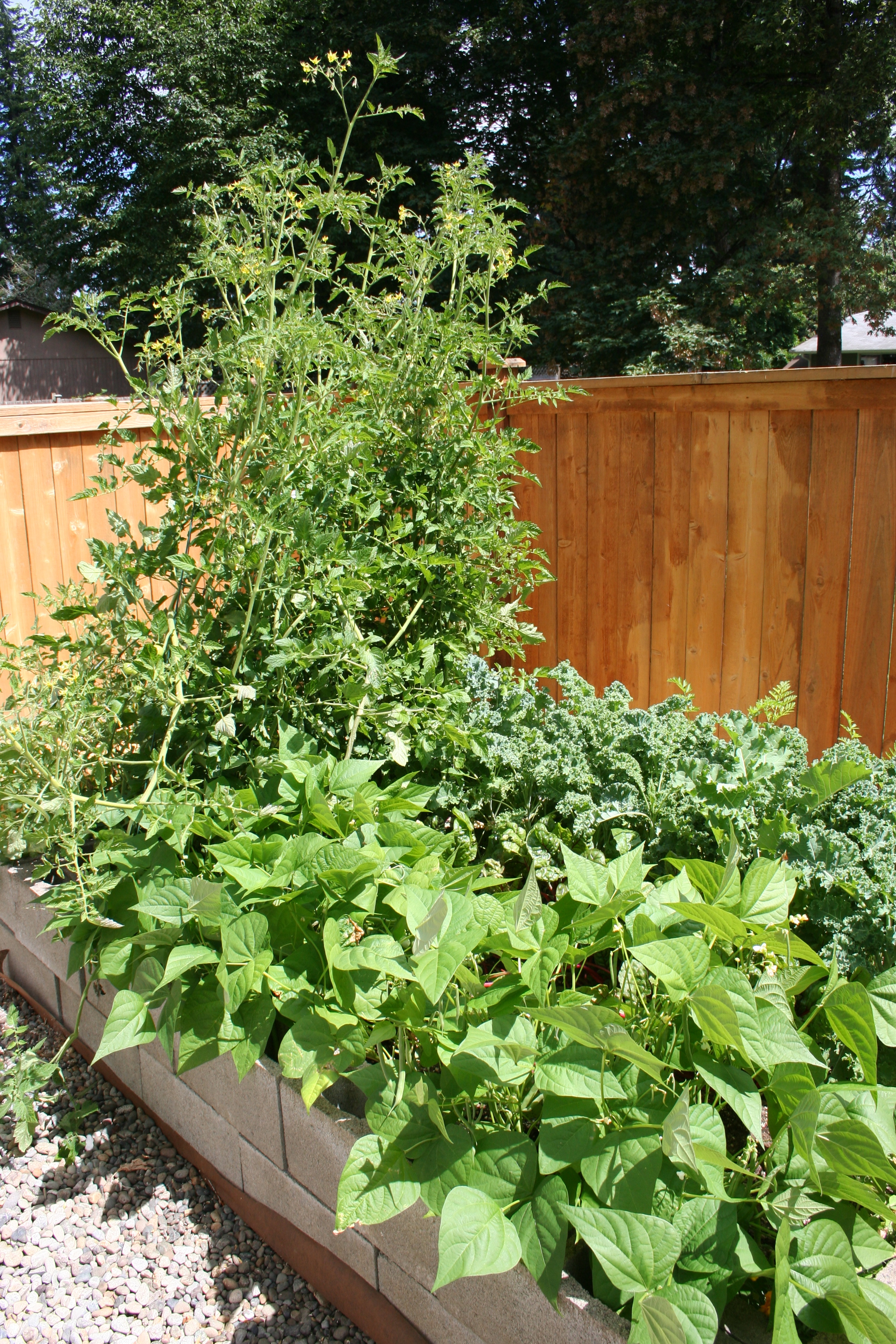 Garden at Rita's 2013 Garden at Rita's 2013