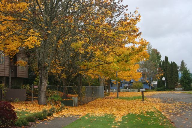 Hoadly Loop IMG_4932