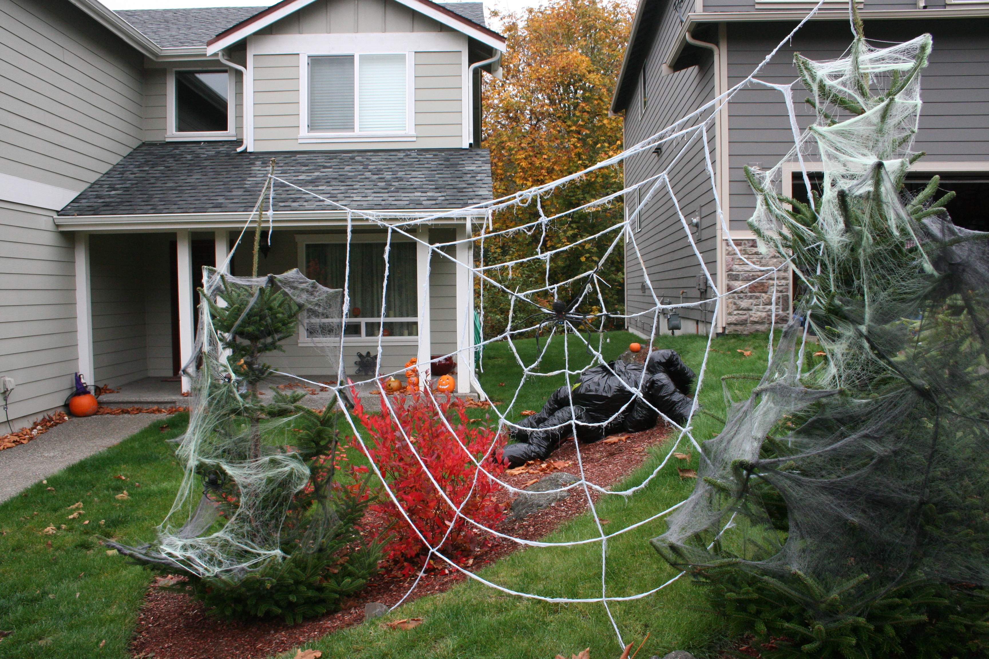 Halloween Spider Web in Yard