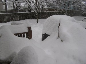 HeavySnow_30Dec08-300x224