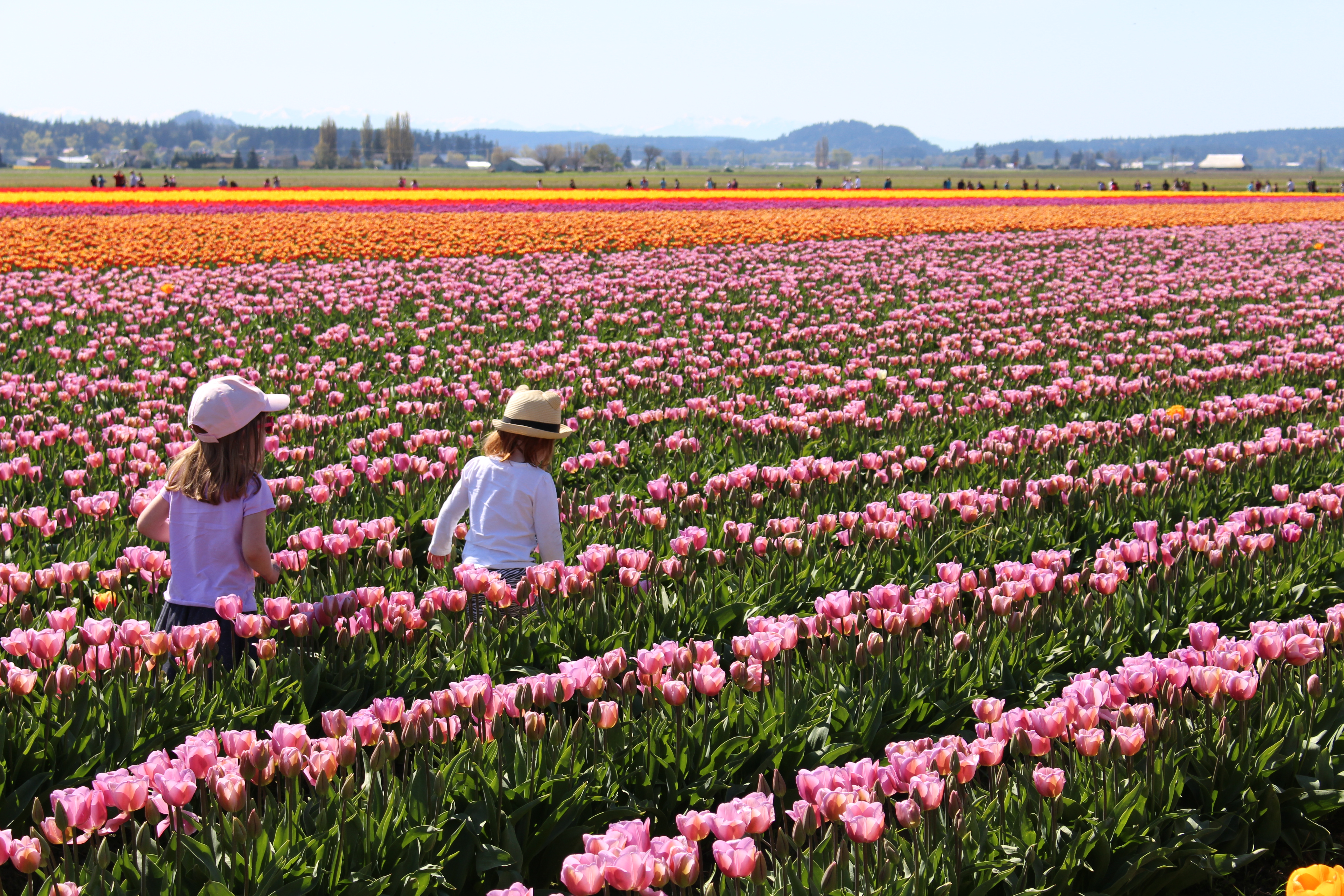 Tulips Two Girls IMG_1892