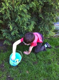 Rafa Hunting Easter Eggs 6a00e550081576883401a73dabbf6b970d.jpg