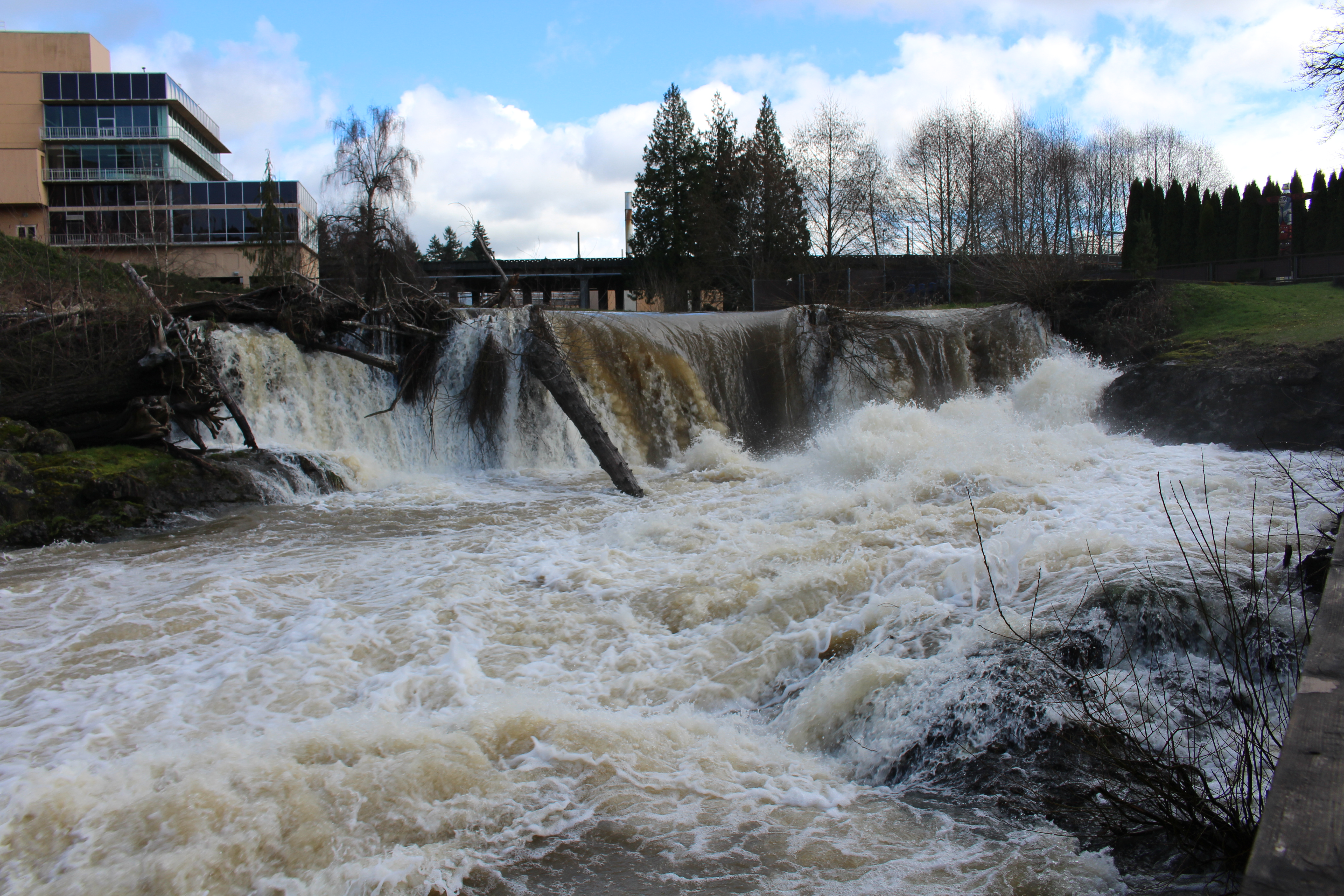 Tumwater Falls Spring