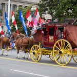 DC Parade Horses hires_130527-A-AO884-180