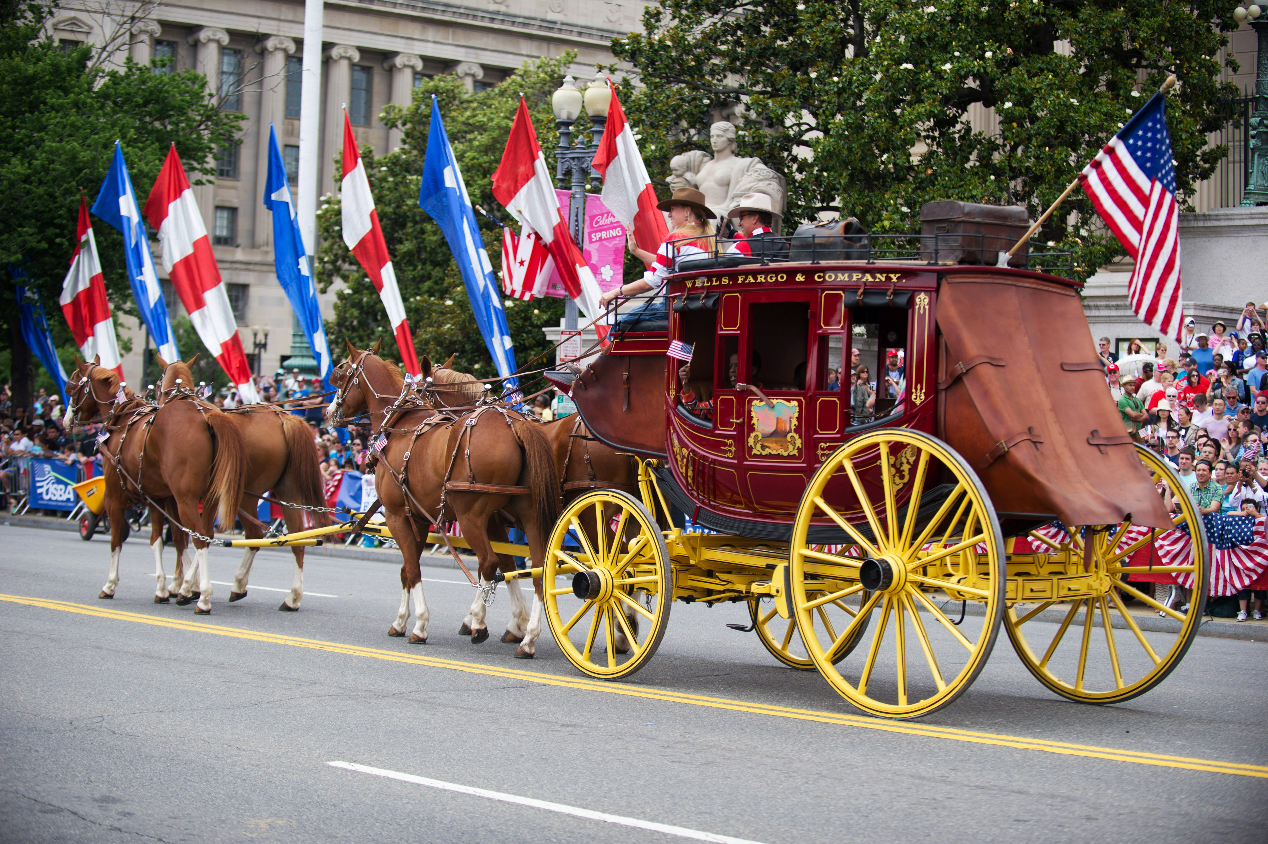 DC Parade Horses hires_130527-A-AO884-180